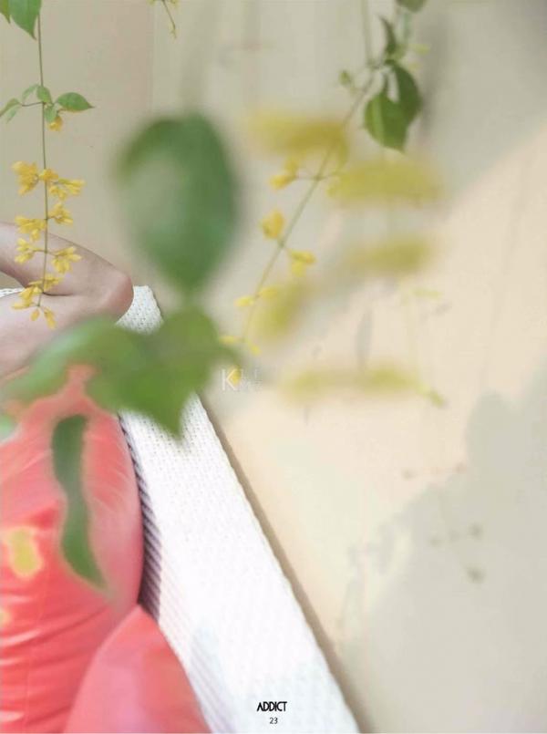 Addict--The-Premium-Issue